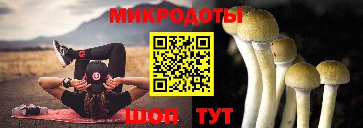 купить закладку  Вход с VPN  Борисоглебск  Псилоцибиновые грибы Magic Shrooms 